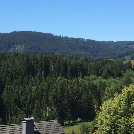 Haus Feldbergblick - Ferienwohnung-sonnenschein Apartamento