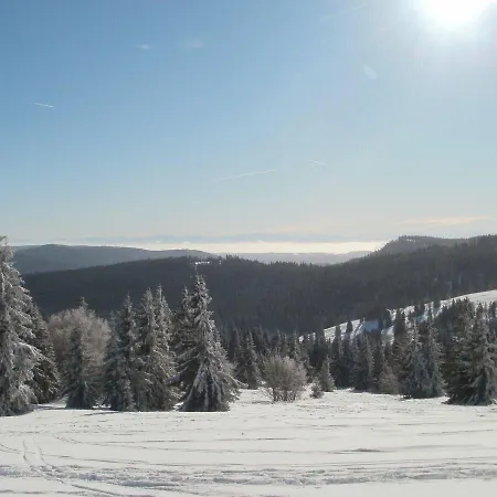 Haus Feldbergblick - Ferienwohnung-sonnenschein