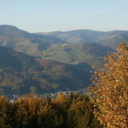 Apartamento Haus Feldbergblick - Ferienwohnung-sonnenschein