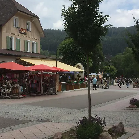 Haus Feldbergblick - Ferienwohnung-sonnenschein